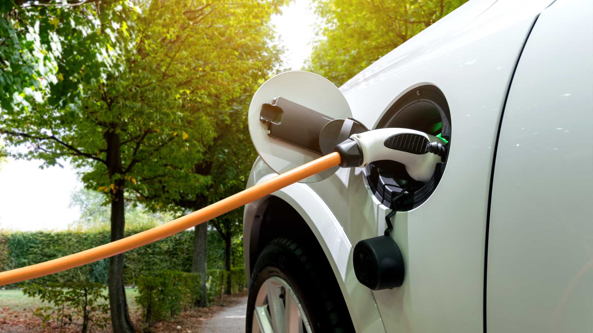 beginners guide to electric cars
